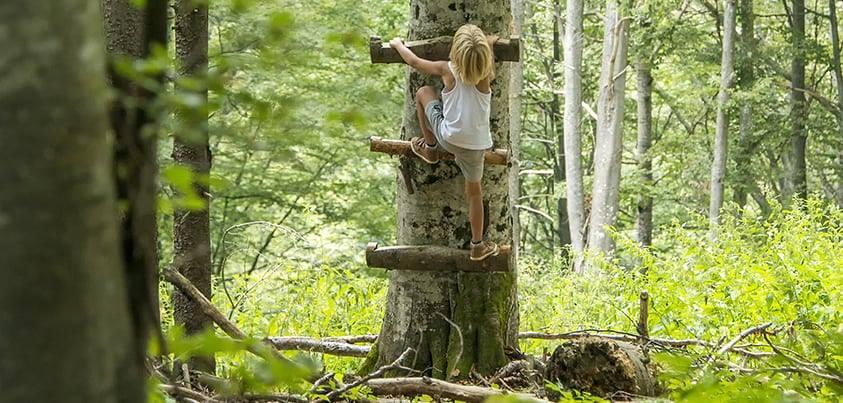 Assurance pour enfants pendant les vacances ?